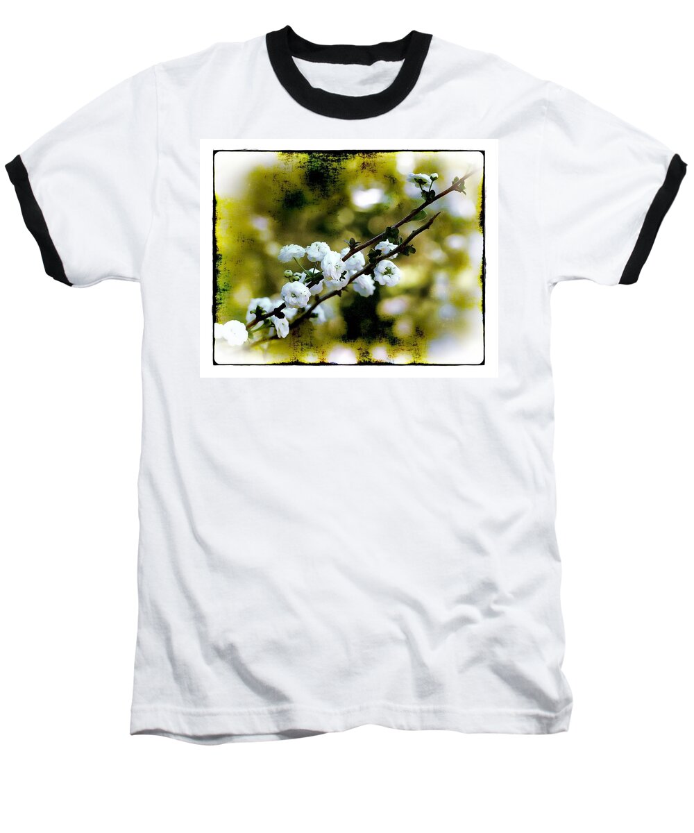Flower Baseball T-Shirt featuring the photograph Spring Bough by Judi Bagwell
