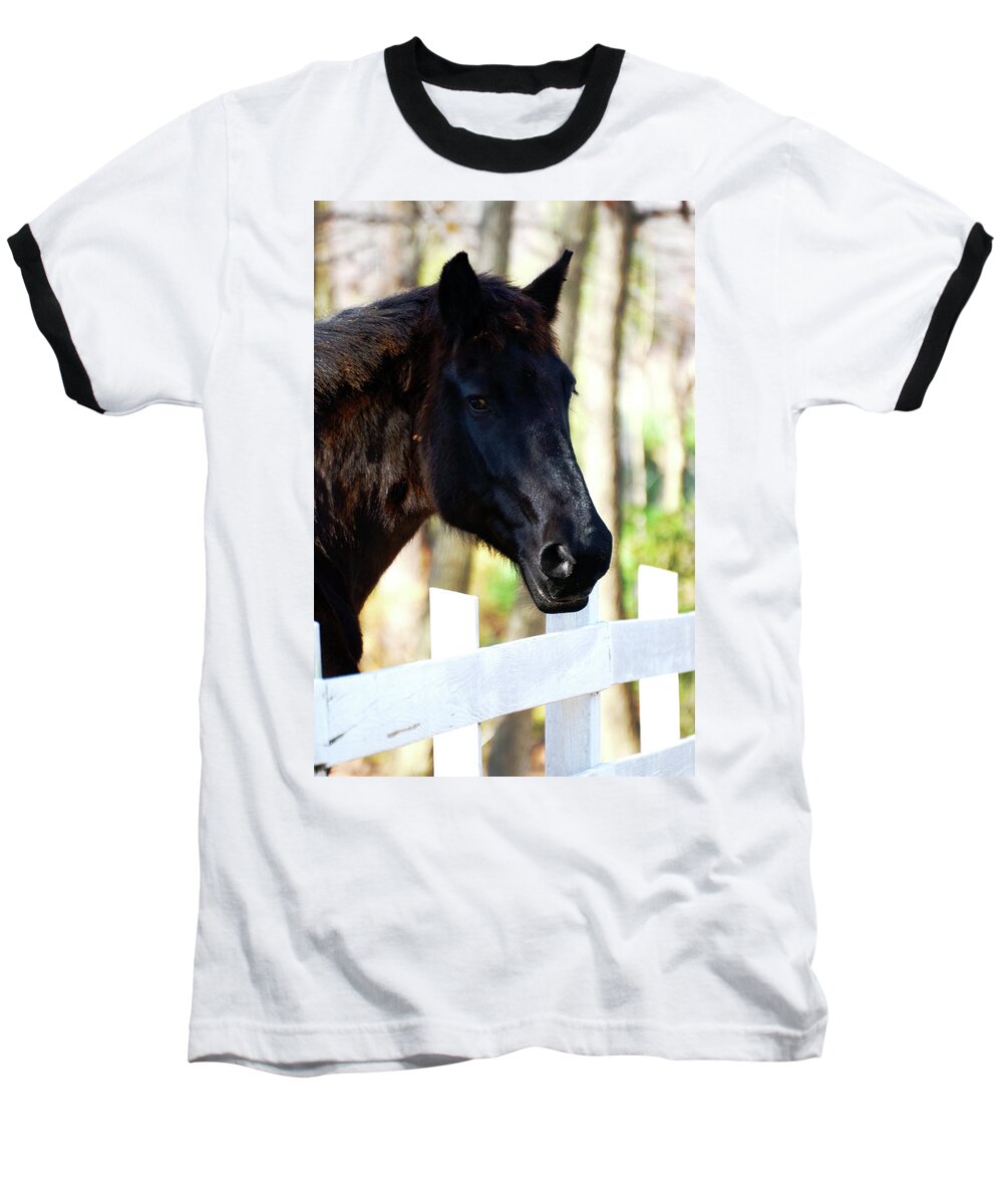 Horse Baseball T-Shirt featuring the photograph Stallion by La Dolce Vita