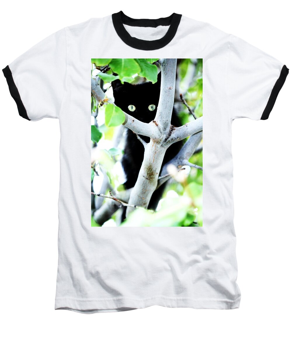 Kitten Baseball T-Shirt featuring the photograph The little huntress by Jessica S