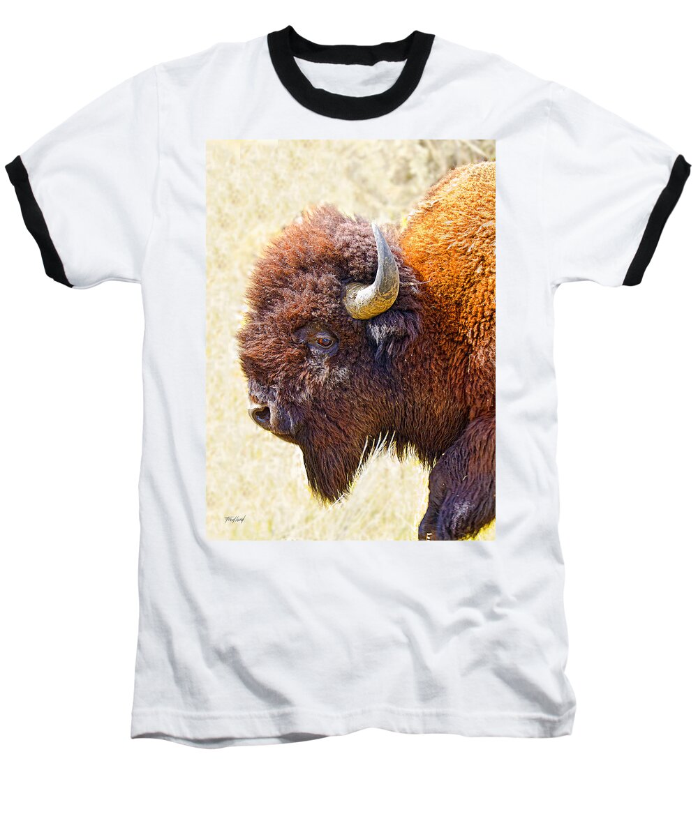 Yellowstone Baseball T-Shirt featuring the photograph Yellowstone American Bison by Fred J Lord