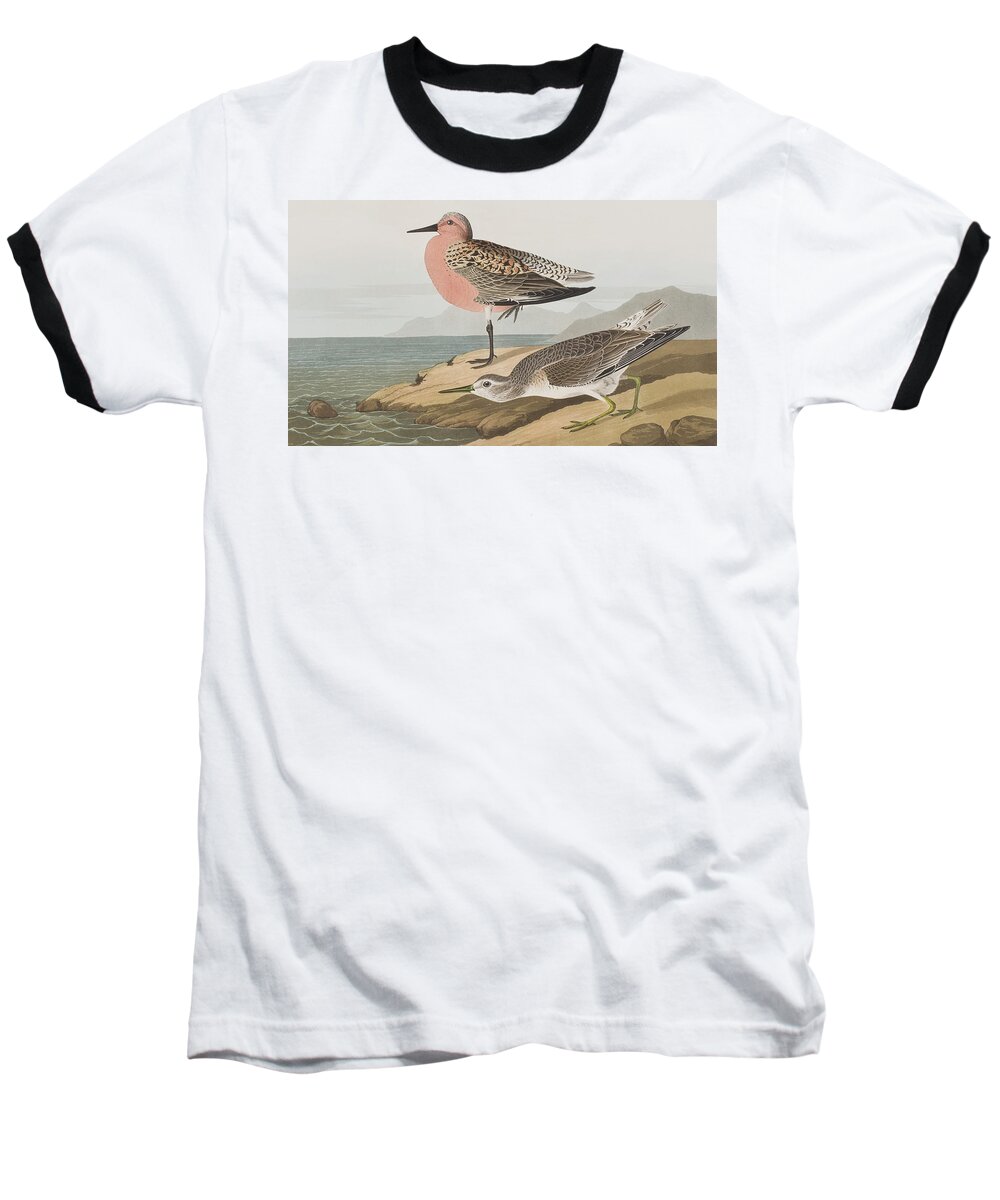 Audubon Baseball T-Shirt featuring the painting Red-breasted Sandpiper by John James Audubon