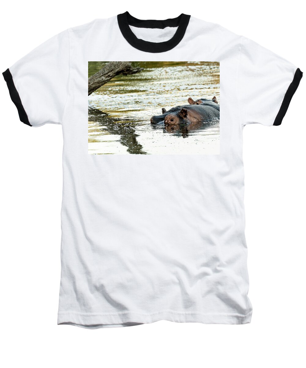 Wildlife Baseball T-Shirt featuring the photograph Reflections #1 by Patrick Kain
