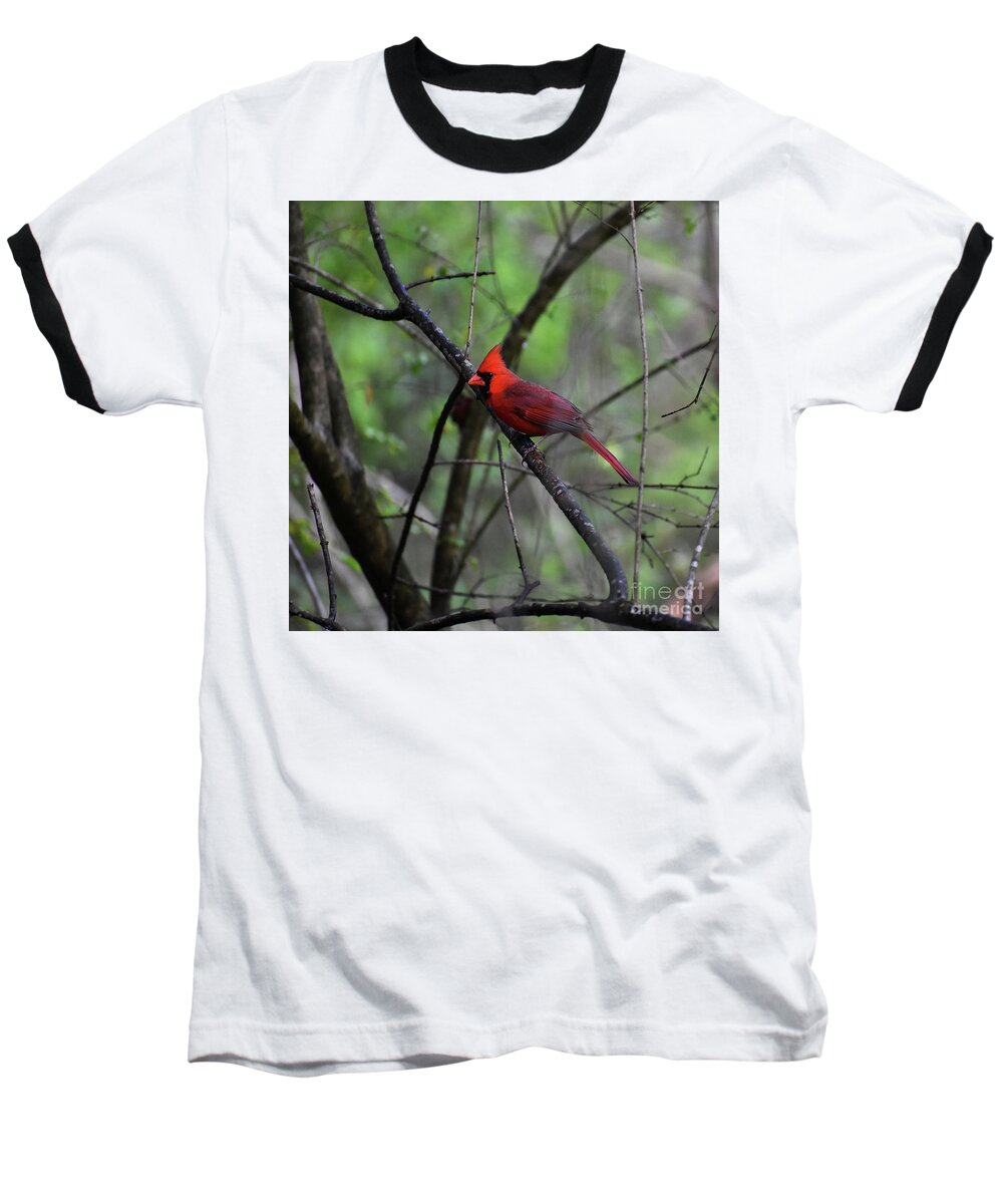 Nature Baseball T-Shirt featuring the photograph Saint Louis #1 by Skip Willits