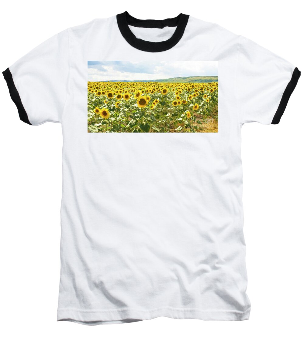 Sunflower Baseball T-Shirt featuring the photograph Field with sunflowers #2 by Irina Afonskaya