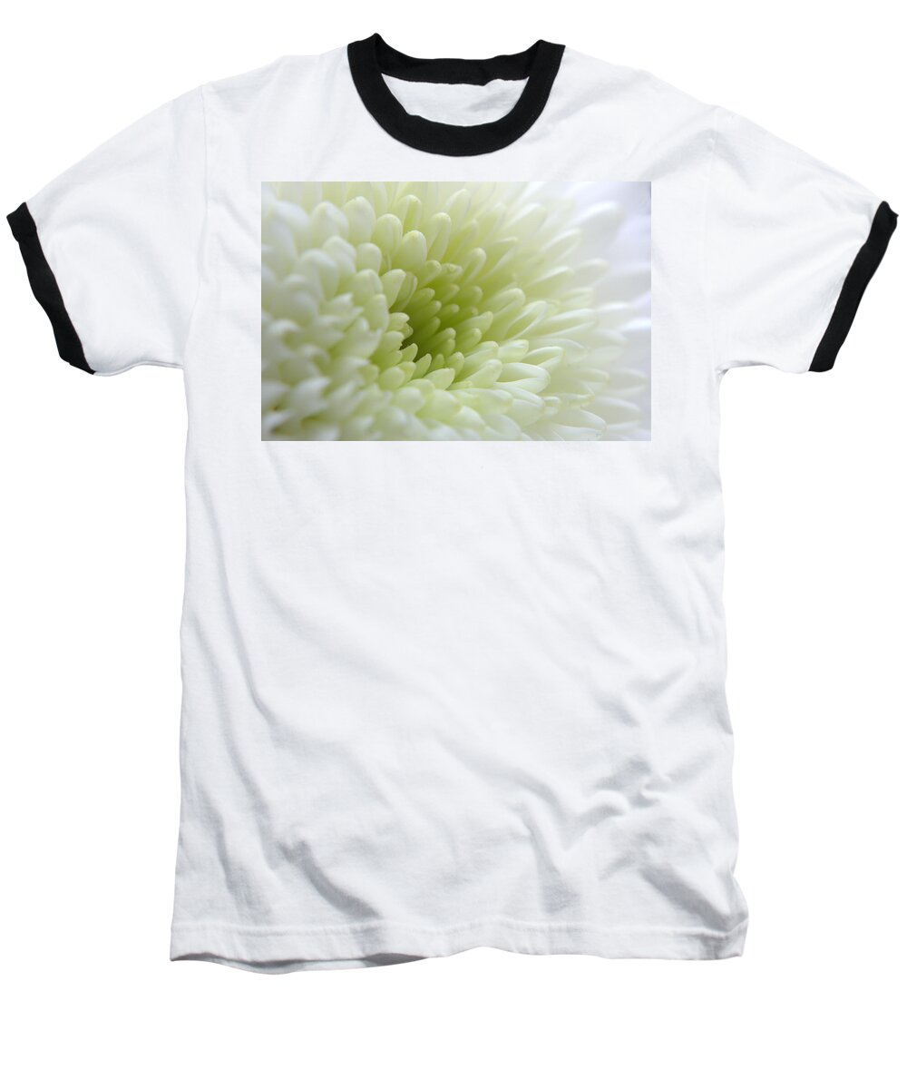 Chrysanthemum Baseball T-Shirt featuring the photograph White Chrysanthemum #2 by Chris Day