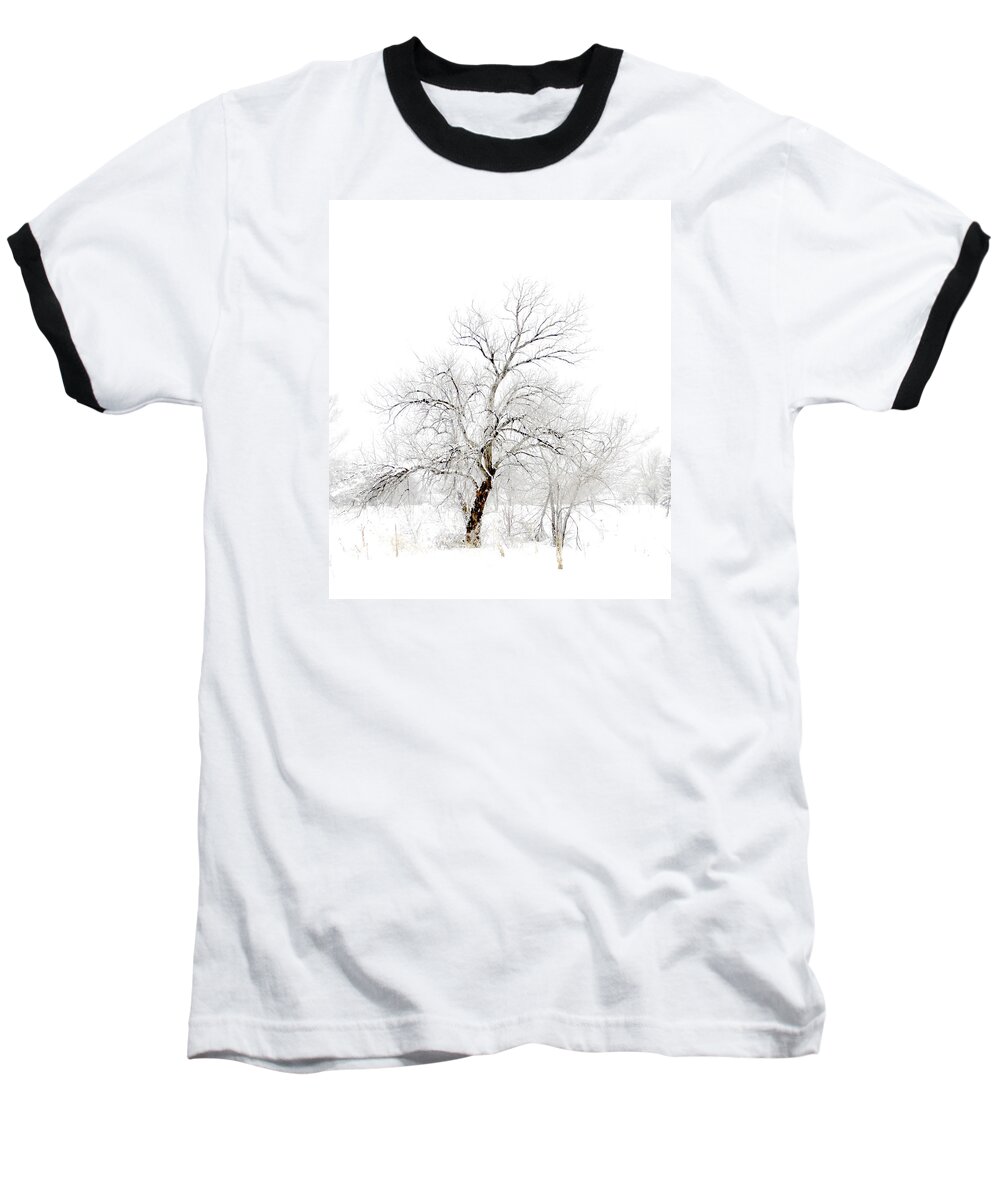 Trees Baseball T-Shirt featuring the photograph 4037 by Peter Holme III