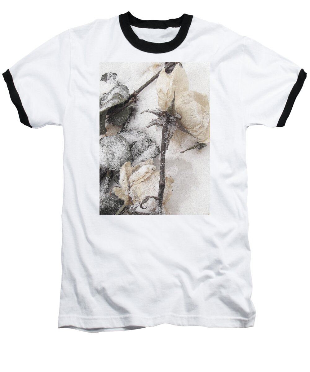 Roses Baseball T-Shirt featuring the photograph A Mystery Made of Truth by Char Szabo-Perricelli