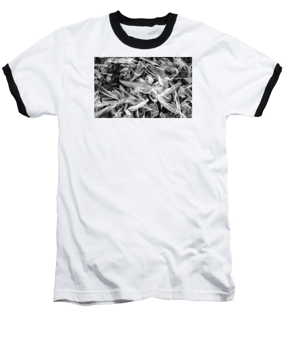 Feathers Baseball T-Shirt featuring the photograph Aftermath by Ronda Broatch