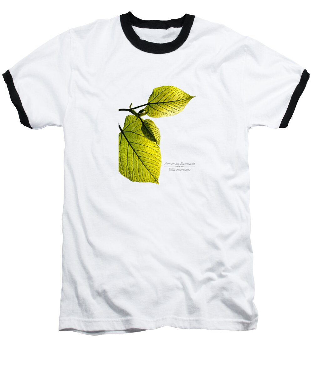 Leaves Baseball T-Shirt featuring the mixed media American Basswood by Christina Rollo