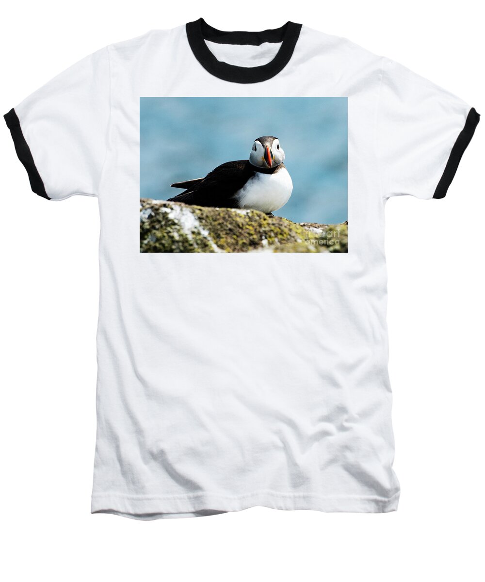 Isle Of May Baseball T-Shirt featuring the photograph An Atlantic Puffin by Mary Jane Armstrong