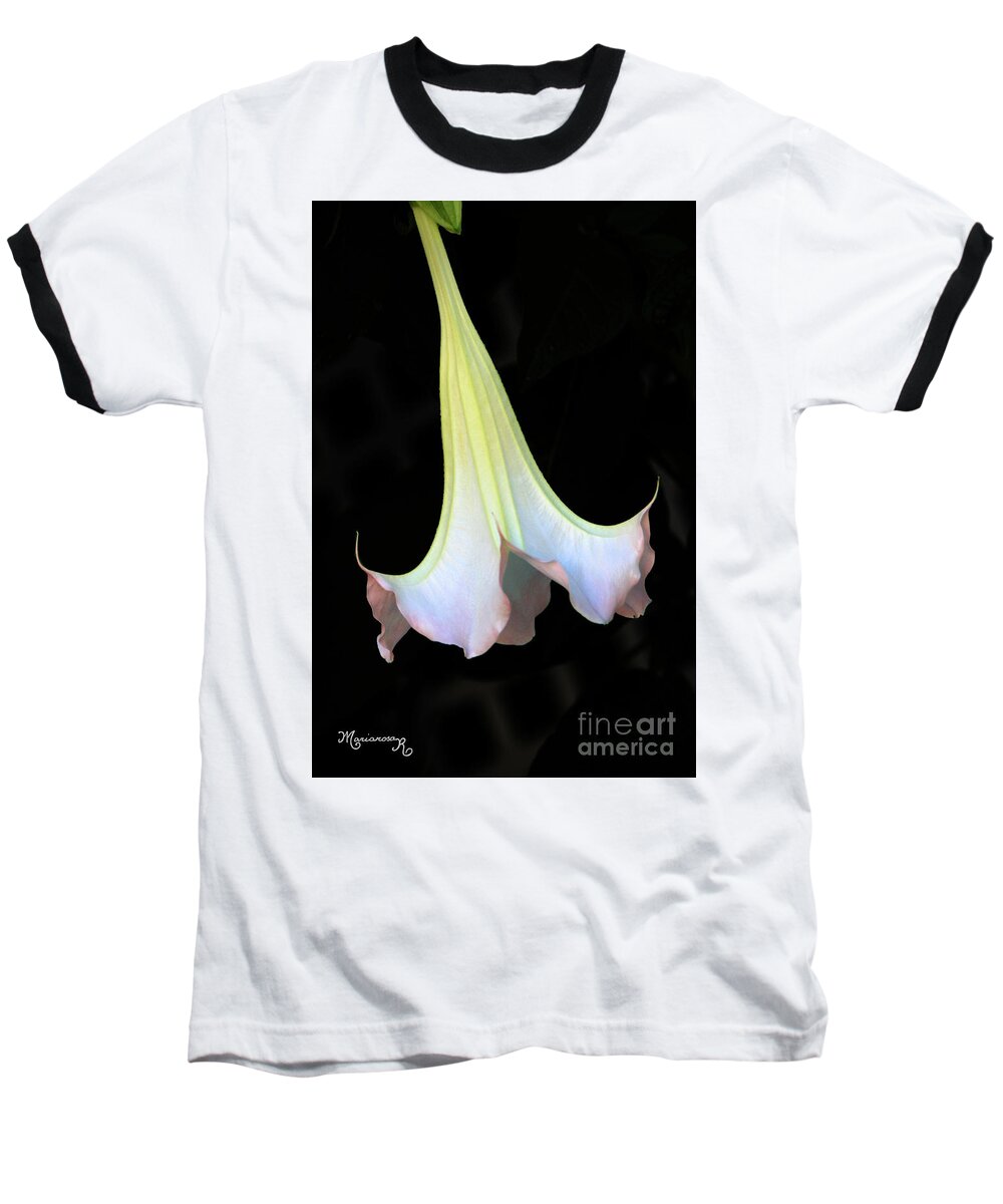 Flora Baseball T-Shirt featuring the photograph Angel Trumpet by Mariarosa Rockefeller