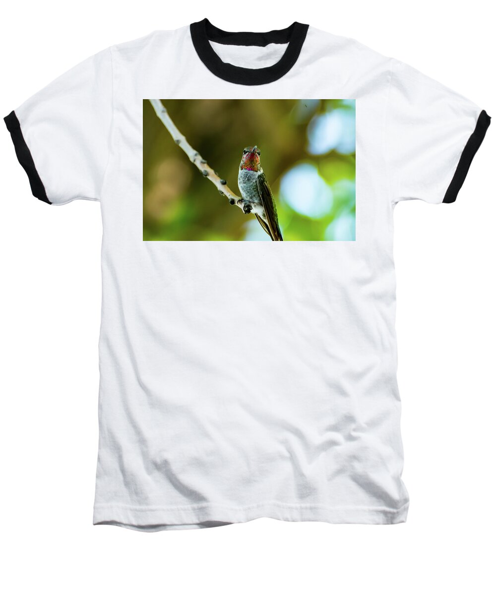 Anna's Hummingbird Baseball T-Shirt featuring the photograph Anna's Hummingbird by Douglas Killourie