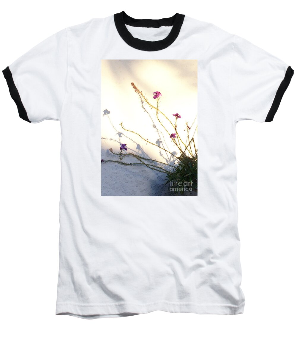 Plant Baseball T-Shirt featuring the photograph Aspire by Linda Shafer