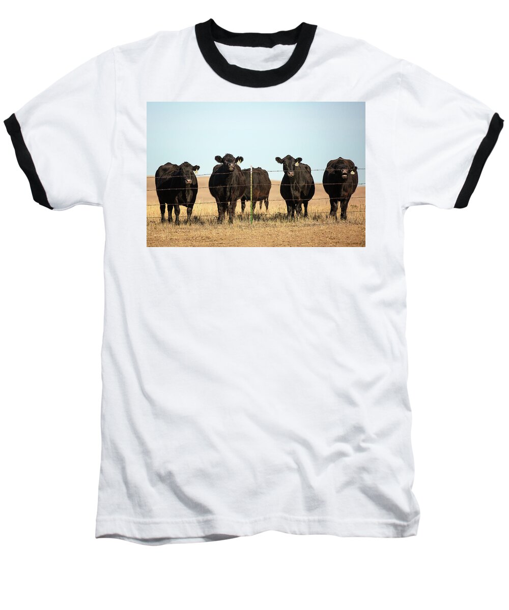 Black Angus Baseball T-Shirt featuring the photograph At the Fence by Todd Klassy
