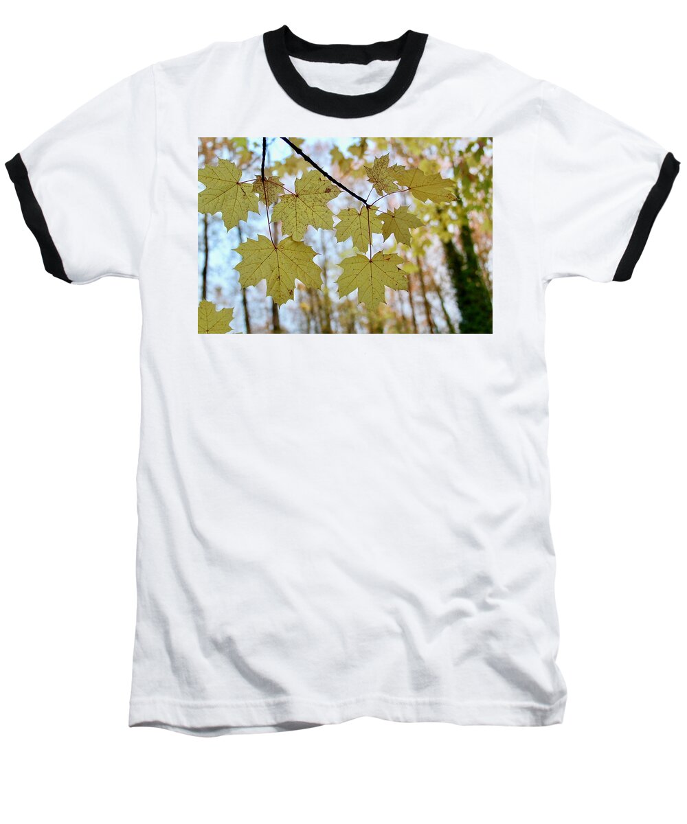 Leaves Baseball T-Shirt featuring the photograph Autumn Beauty by Brian Eberly