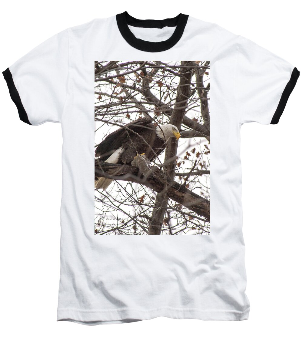  Baseball T-Shirt featuring the photograph Backyard Eagle And Squirrel.... by Paul Vitko