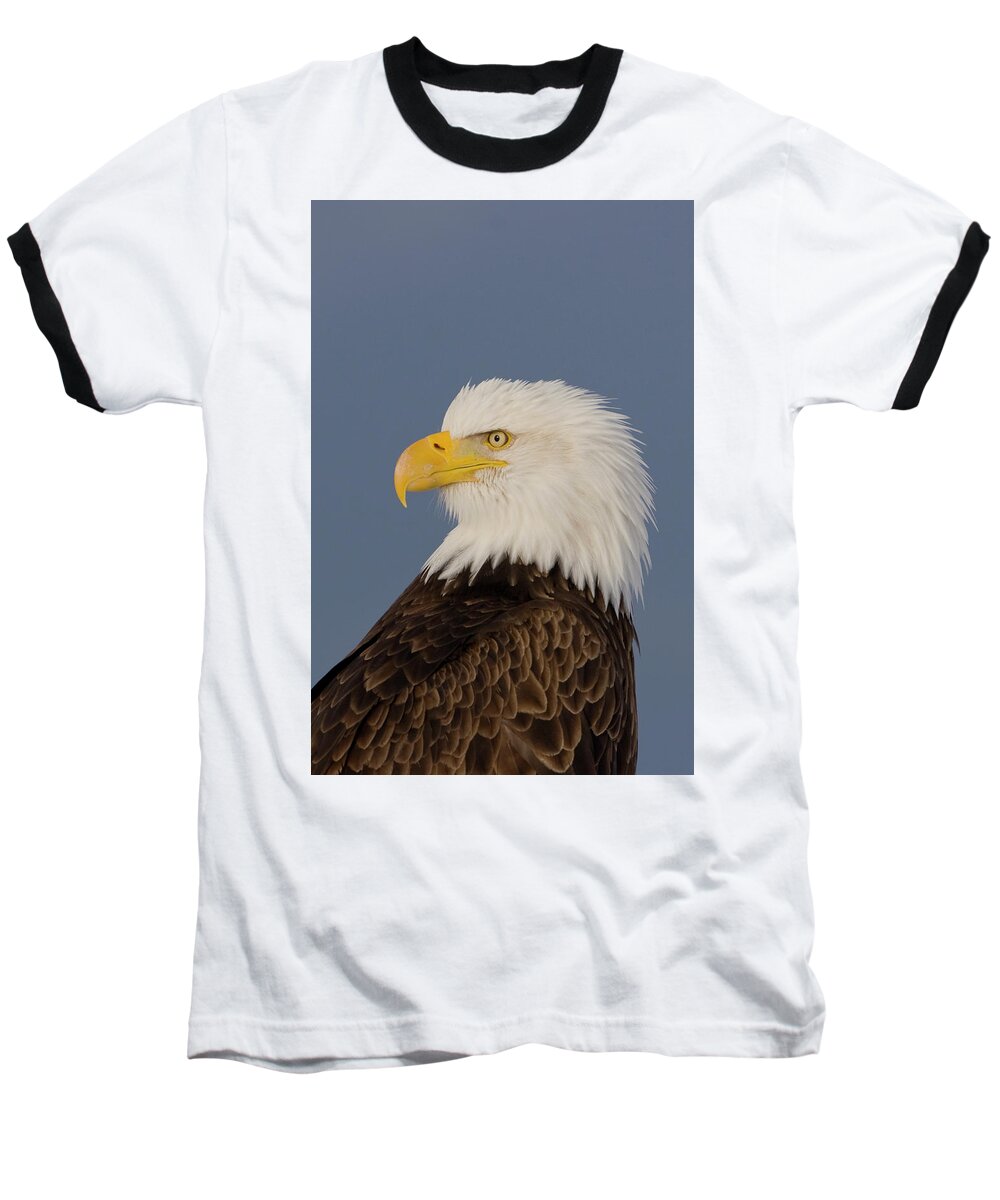 Eagles Baseball T-Shirt featuring the photograph Bald Eagle Portrait by Mark Miller