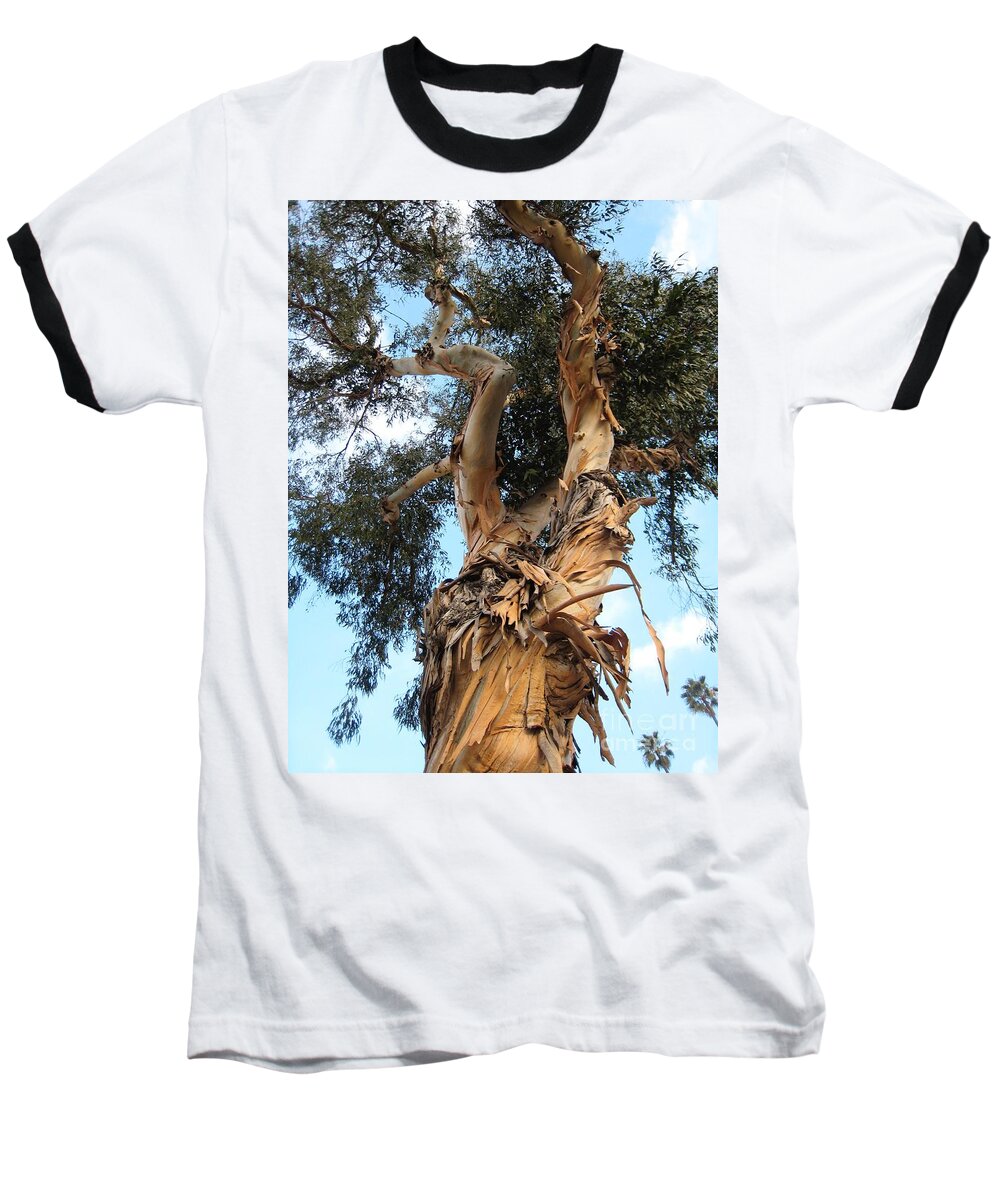 Tree Baseball T-Shirt featuring the photograph Big Ole Tree by Glenda Zuckerman