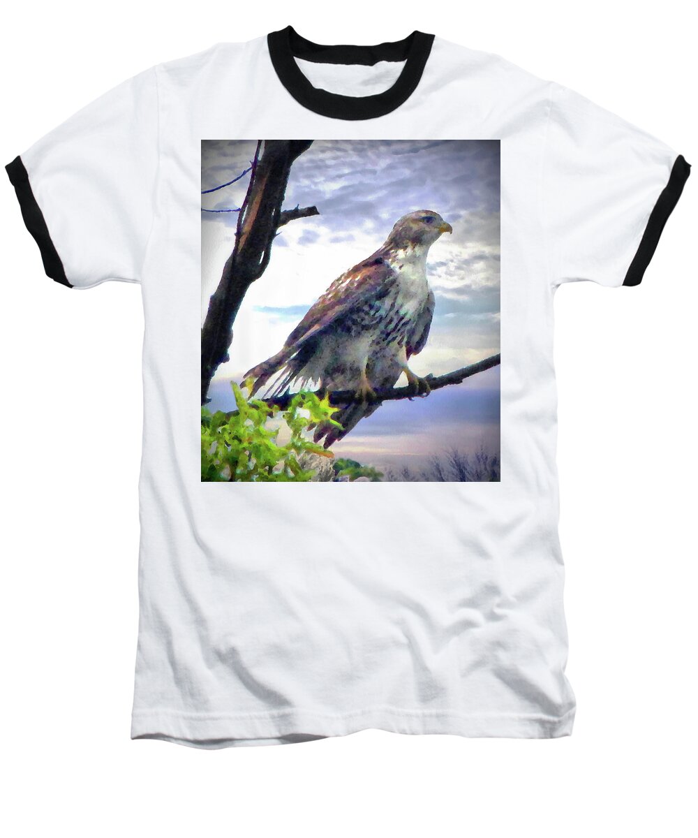 Cedric Hampton Baseball T-Shirt featuring the photograph Bird of Prey by Cedric Hampton