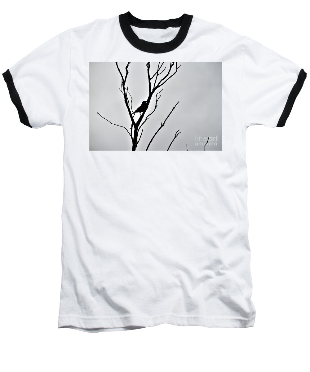 Lone Baseball T-Shirt featuring the photograph Bird Silhouette by Tracey Lee Cassin