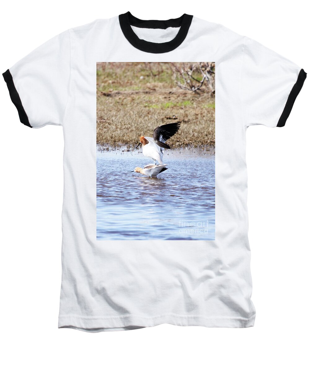 Birds Do It Baseball T-Shirt featuring the photograph Birds Do It by Alyce Taylor