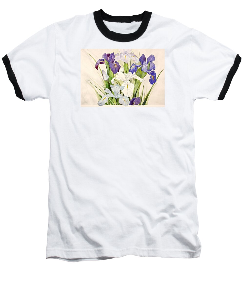 Water Color Baseball T-Shirt featuring the painting Blue Irises-Posthumously presented paintings of Sachi Spohn by Cliff Spohn