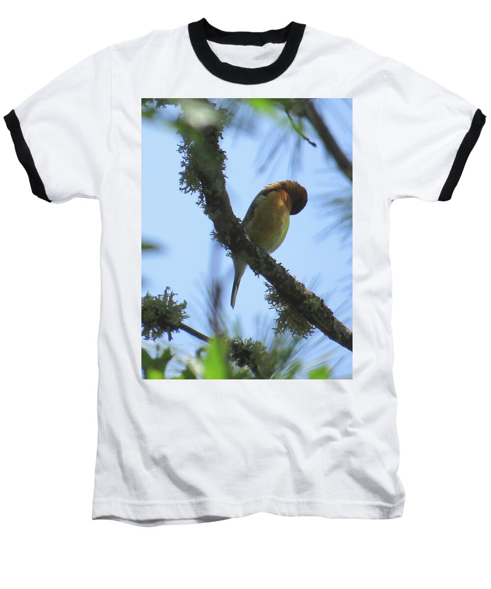 Bird Baseball T-Shirt featuring the photograph Bird of Pray - Images from the Garden - Avian Art by Brooks Garten Hauschild