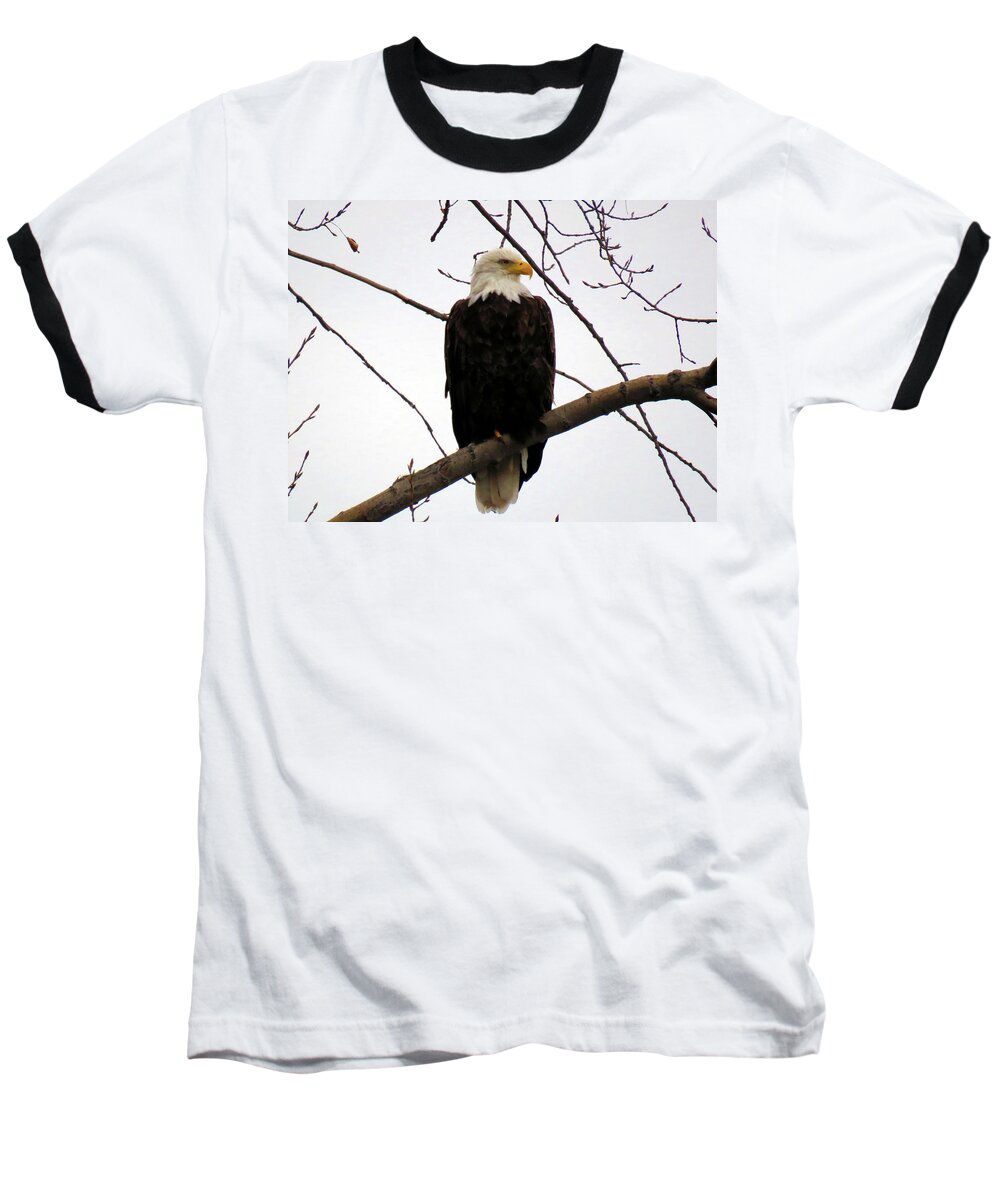 1000 Islands Baseball T-Shirt featuring the photograph Cape Eagle by Dennis McCarthy