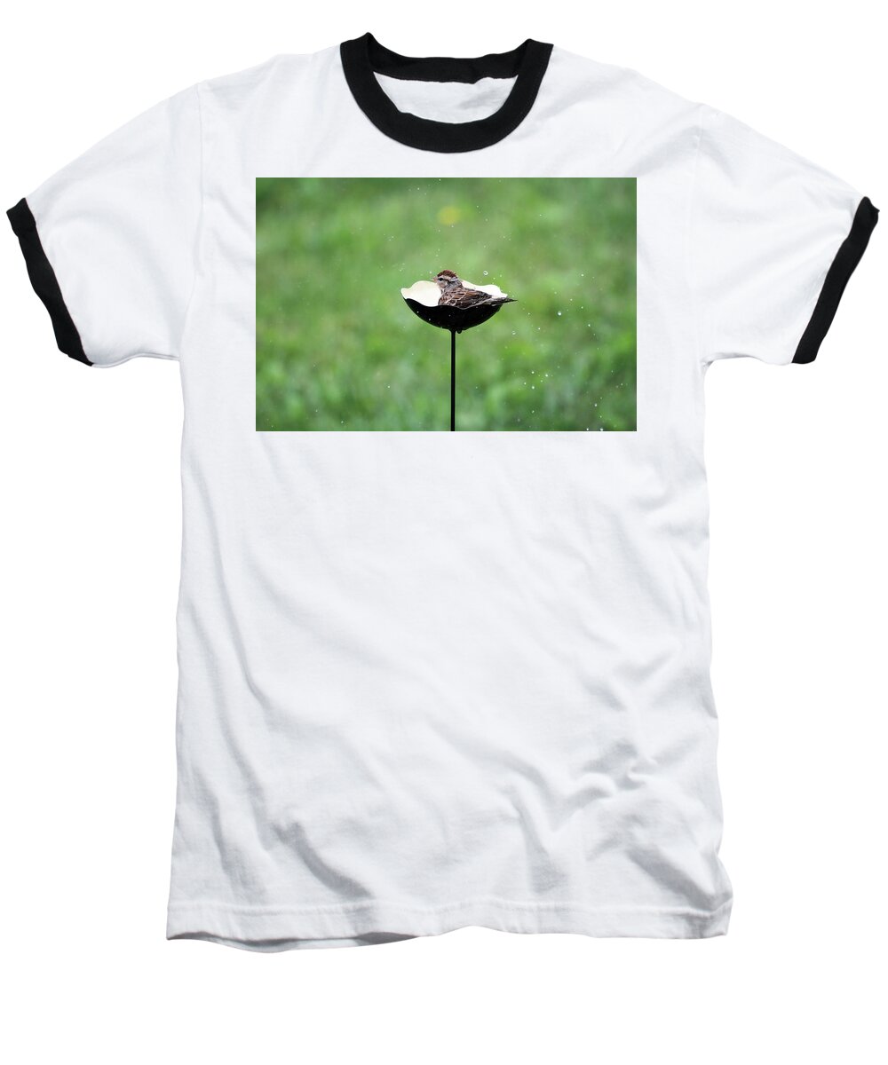 Chipping Sparrow Baseball T-Shirt featuring the photograph Chipping Sparrow Bath by Jackson Pearson