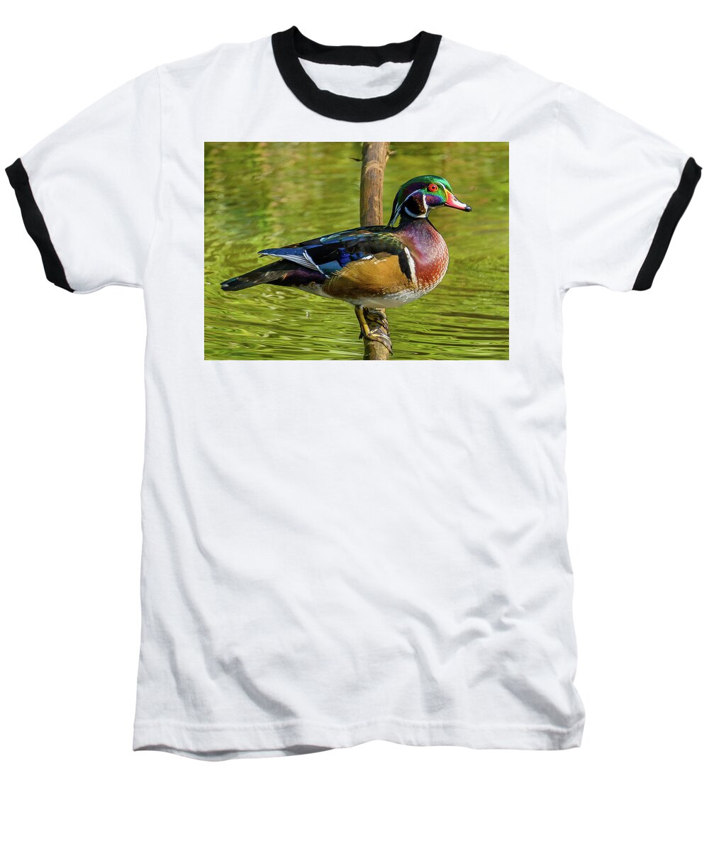 Woodduck Baseball T-Shirt featuring the photograph Colorful Wood Duck by Jerry Cahill