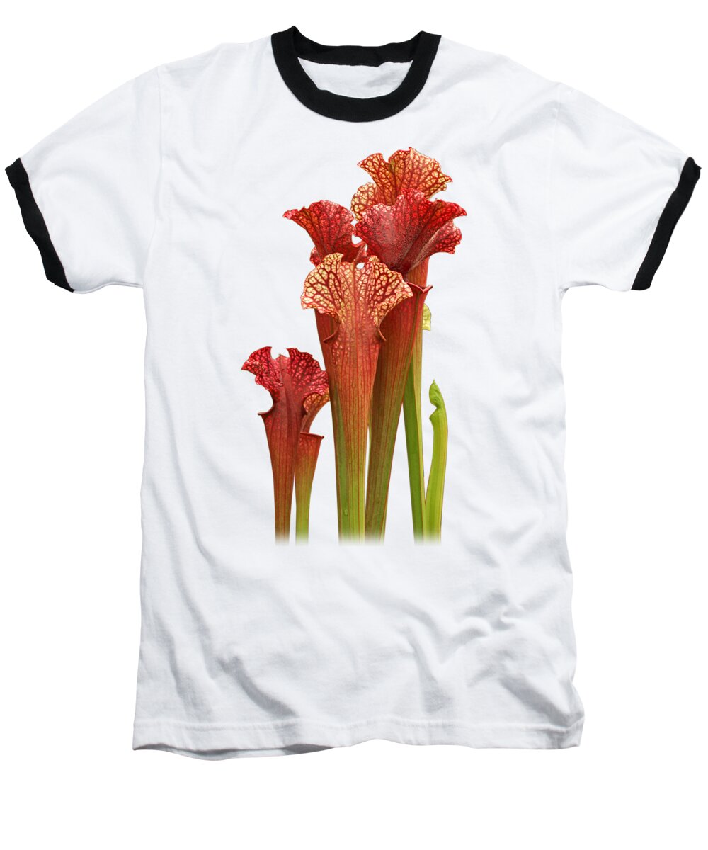 Red Flower Baseball T-Shirt featuring the photograph Come Into My Parlour - Carnivorous Sarracenia by Gill Billington