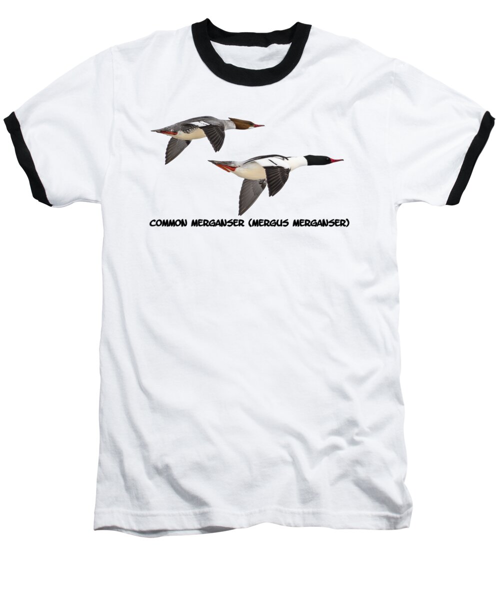 Common Mergansers Baseball T-Shirt featuring the photograph Common Mergansers Isolated 2014-1 by Thomas Young