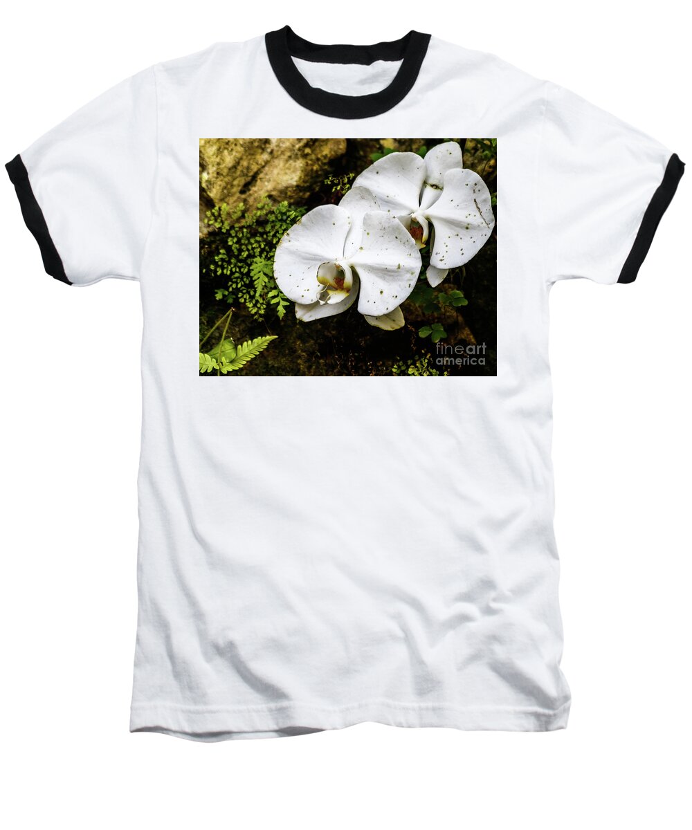 Flower Baseball T-Shirt featuring the photograph Cookies and Cream by Les Greenwood