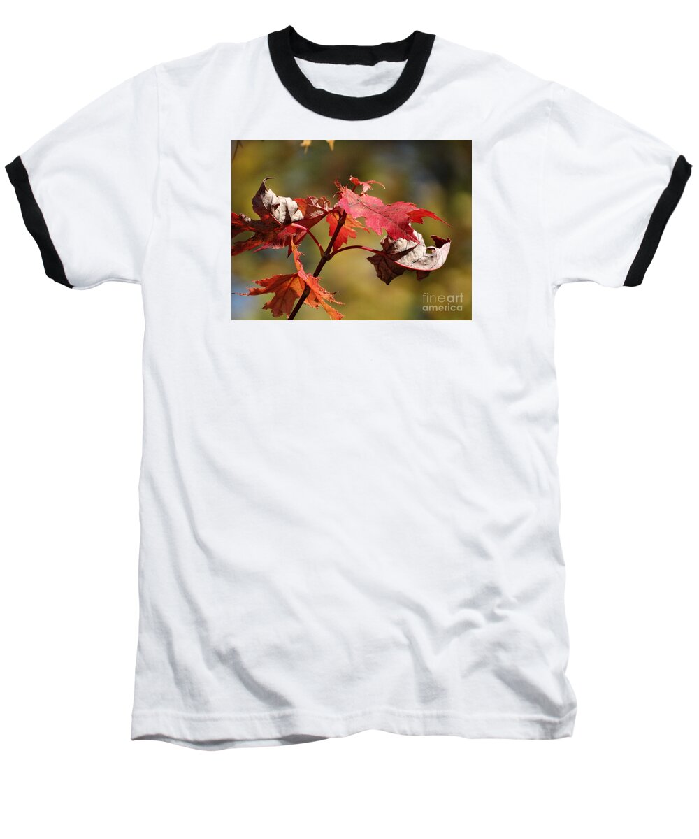 Maple Leaf Baseball T-Shirt featuring the photograph Crimson Fall by J L Zarek