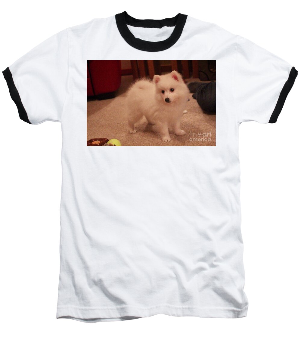 Dog Baseball T-Shirt featuring the photograph Daisy - Japanese Spitz by David Grant