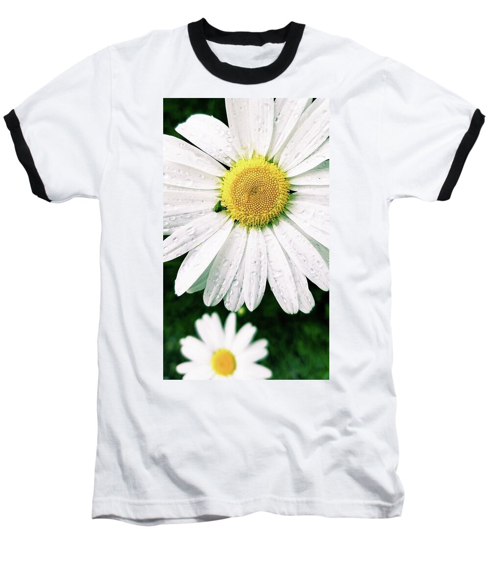  Baseball T-Shirt featuring the photograph Daisy by Jessie Henry
