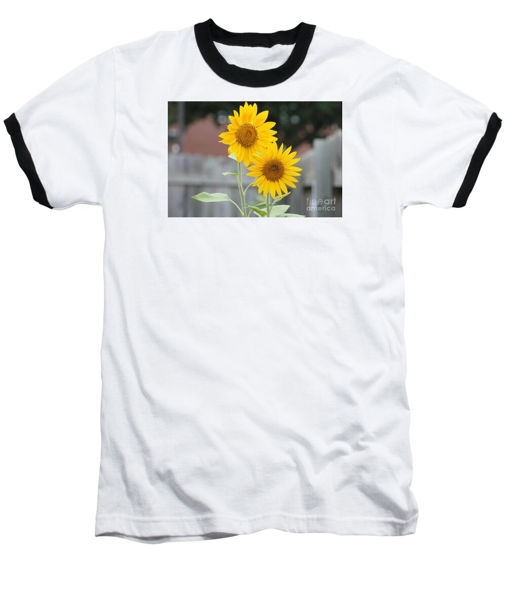 Sunflowers Baseball T-Shirt featuring the photograph Double Sunflowers by Sheri Simmons