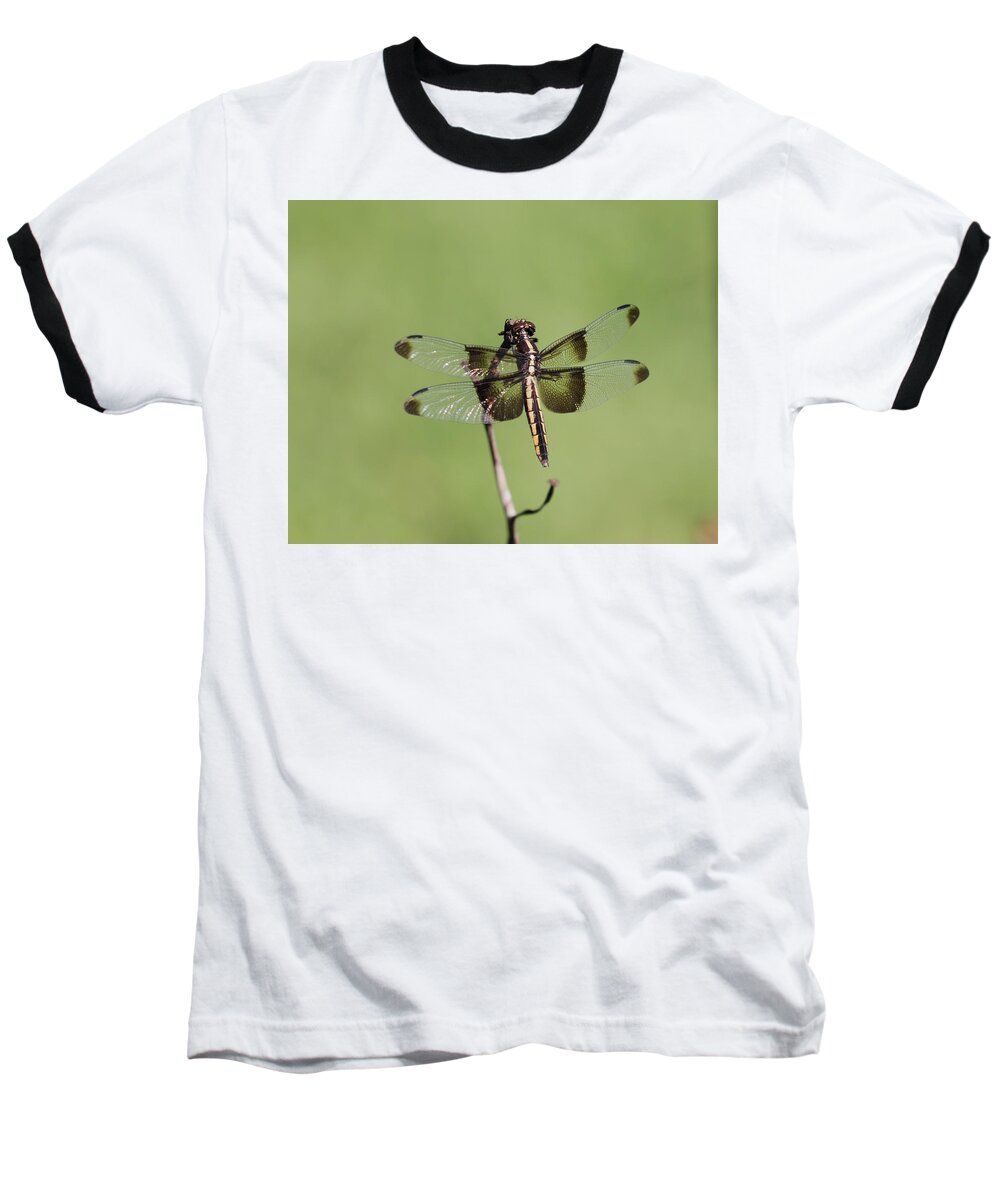 Dragonfly. Dragon Fly Baseball T-Shirt featuring the photograph Dragonfly by John Moyer