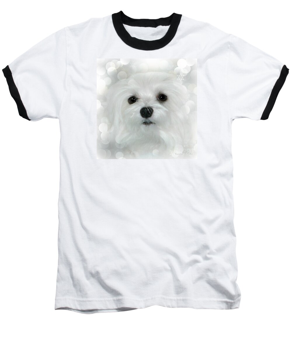 maltese Dog Baseball T-Shirt featuring the photograph Dreams in White by Morag Bates