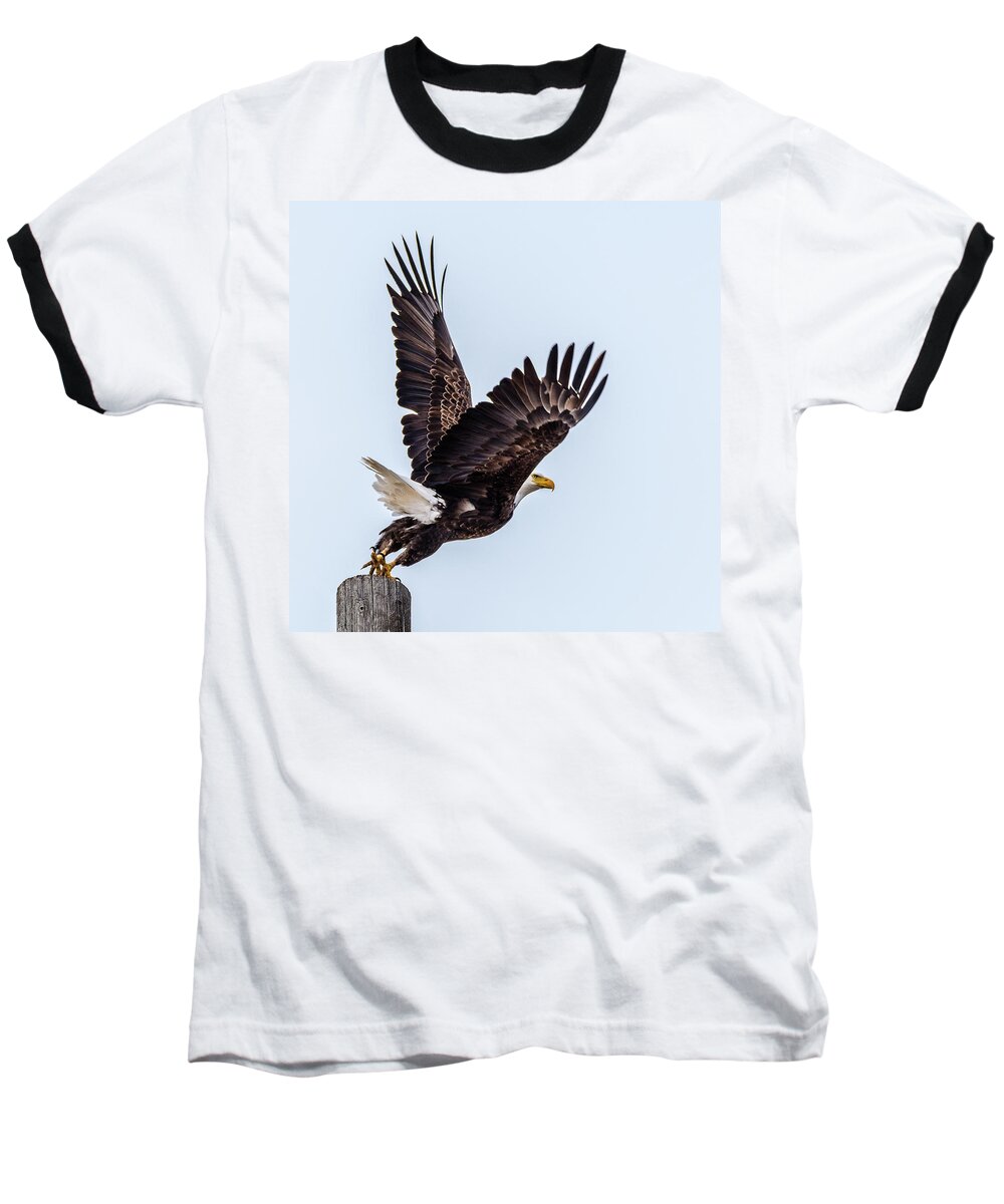 Bald Eagle Baseball T-Shirt featuring the photograph Eagle Taking Flight by Yeates Photography