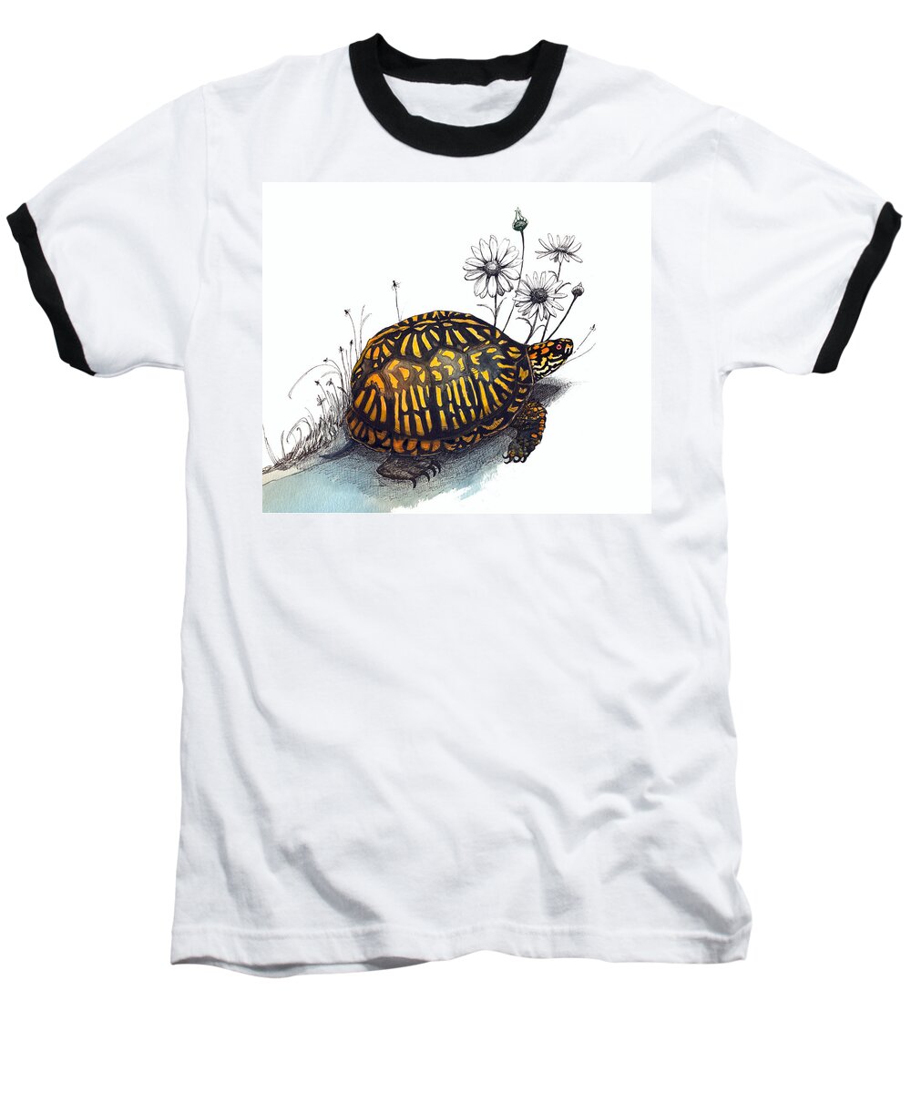Eastern Box Turte Baseball T-Shirt featuring the drawing Eastern Box Turtle by Katherine Miller