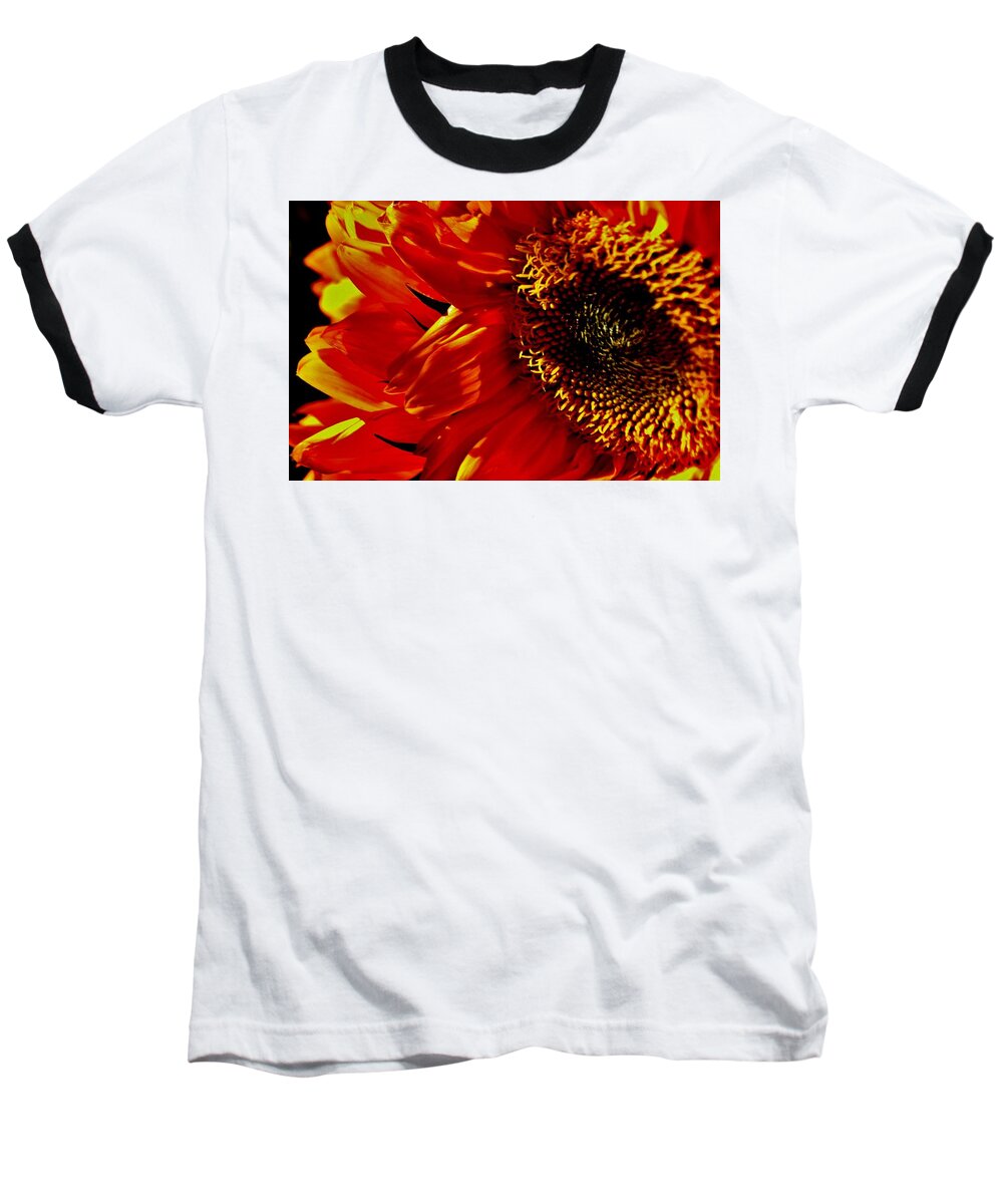 Orange Baseball T-Shirt featuring the photograph Fickle Sunflower by Eileen Brymer