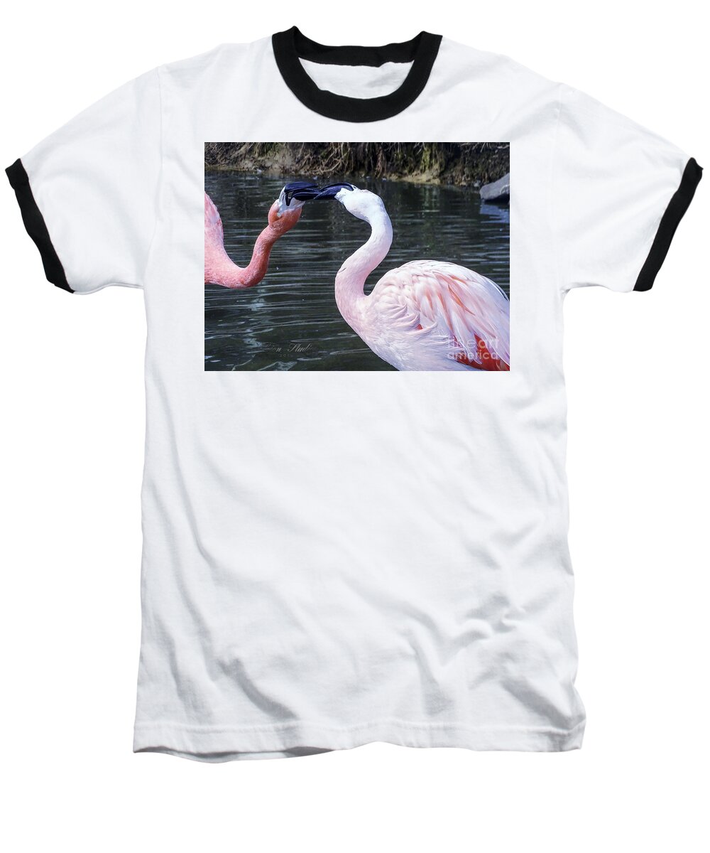 Flamingos Baseball T-Shirt featuring the photograph Flamingos at Play by Melissa Messick