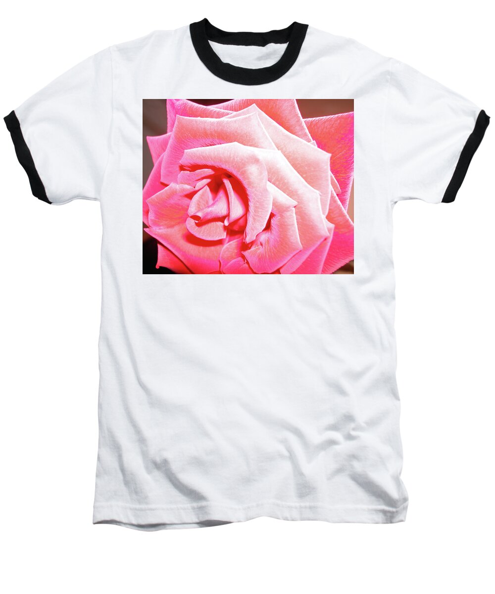 Rose Baseball T-Shirt featuring the photograph Fragrant Rose by Marie Hicks