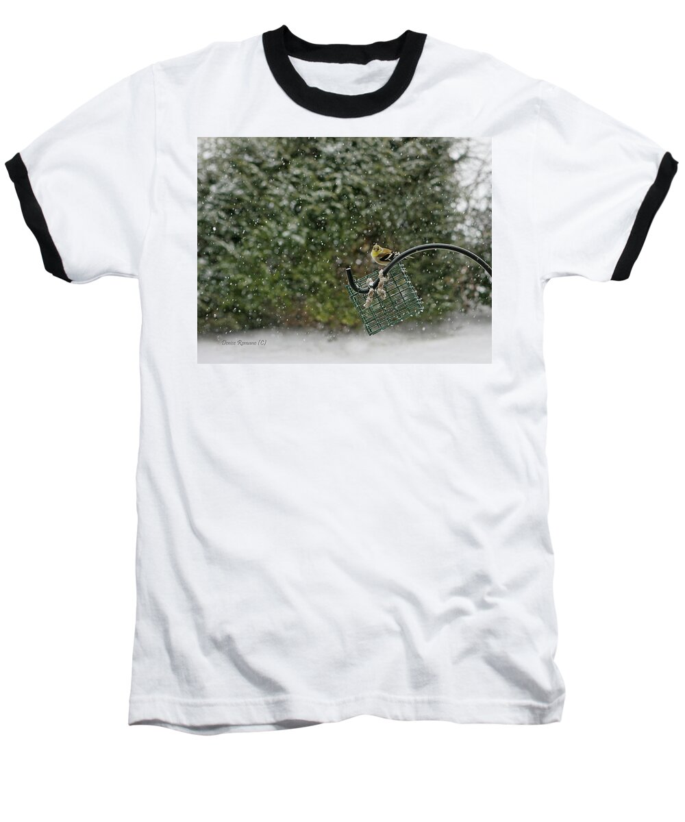 Winter Baseball T-Shirt featuring the photograph Goldfinch by Denise Romano