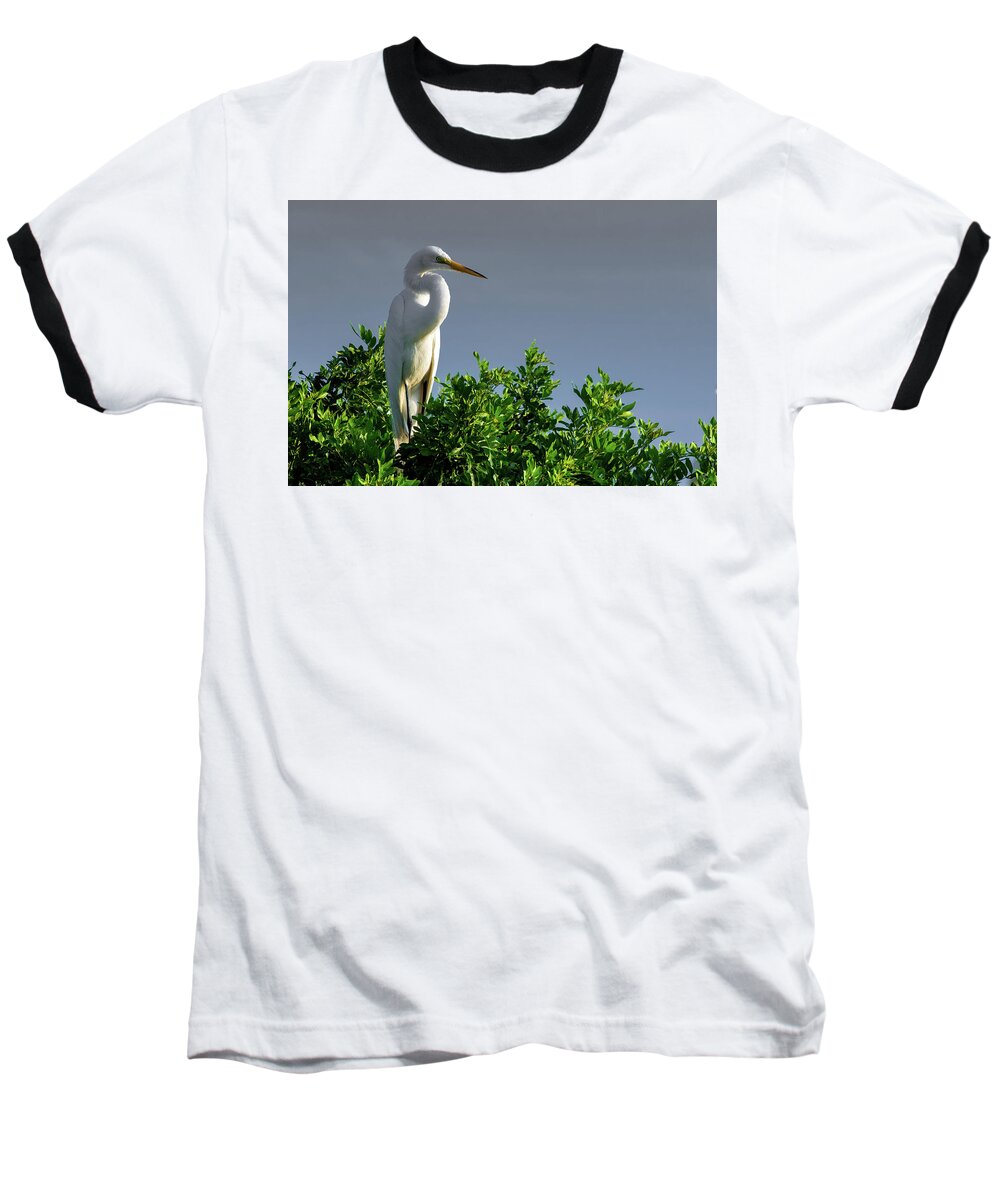 Bird Baseball T-Shirt featuring the photograph Great White Egret by Dillon Kalkhurst