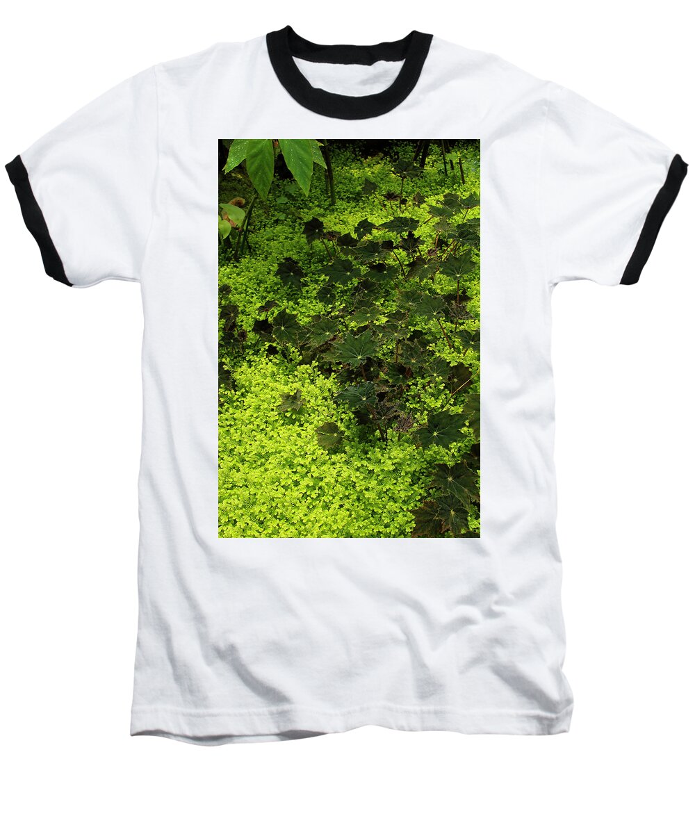 Green Tropical Plants Baseball T-Shirt featuring the photograph Green Tropical Plants by Viktor Savchenko