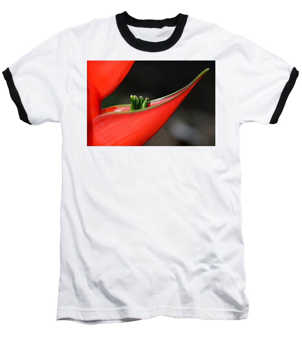 Flower Baseball T-Shirt featuring the photograph Heliconia Flower Petal by Lorenzo Cassina