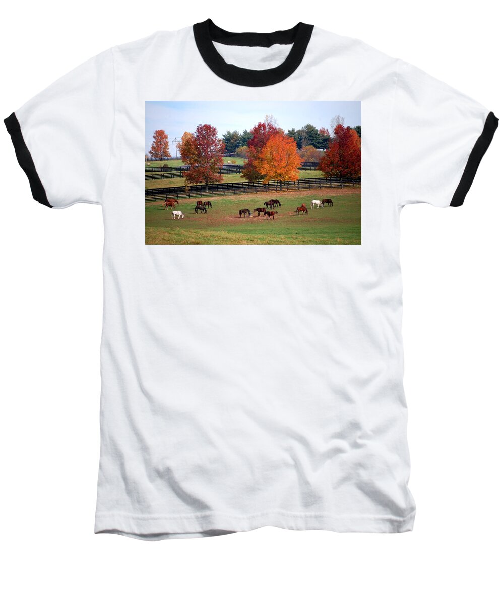 Horses Baseball T-Shirt featuring the photograph Horses Grazing in the Fall by Sumoflam Photography