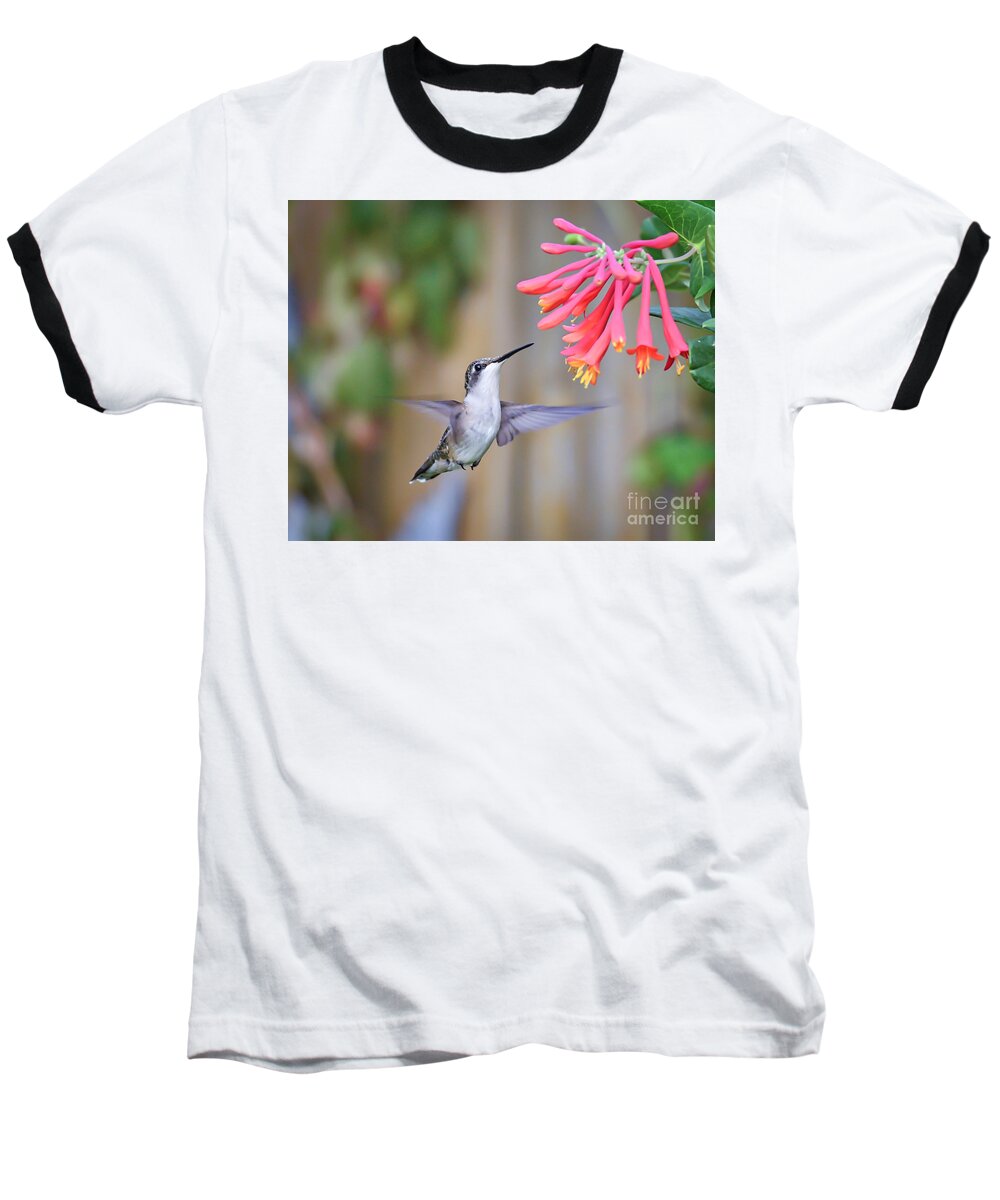 Hummingbird Baseball T-Shirt featuring the photograph Hummingbird Happiness 2 by Kerri Farley